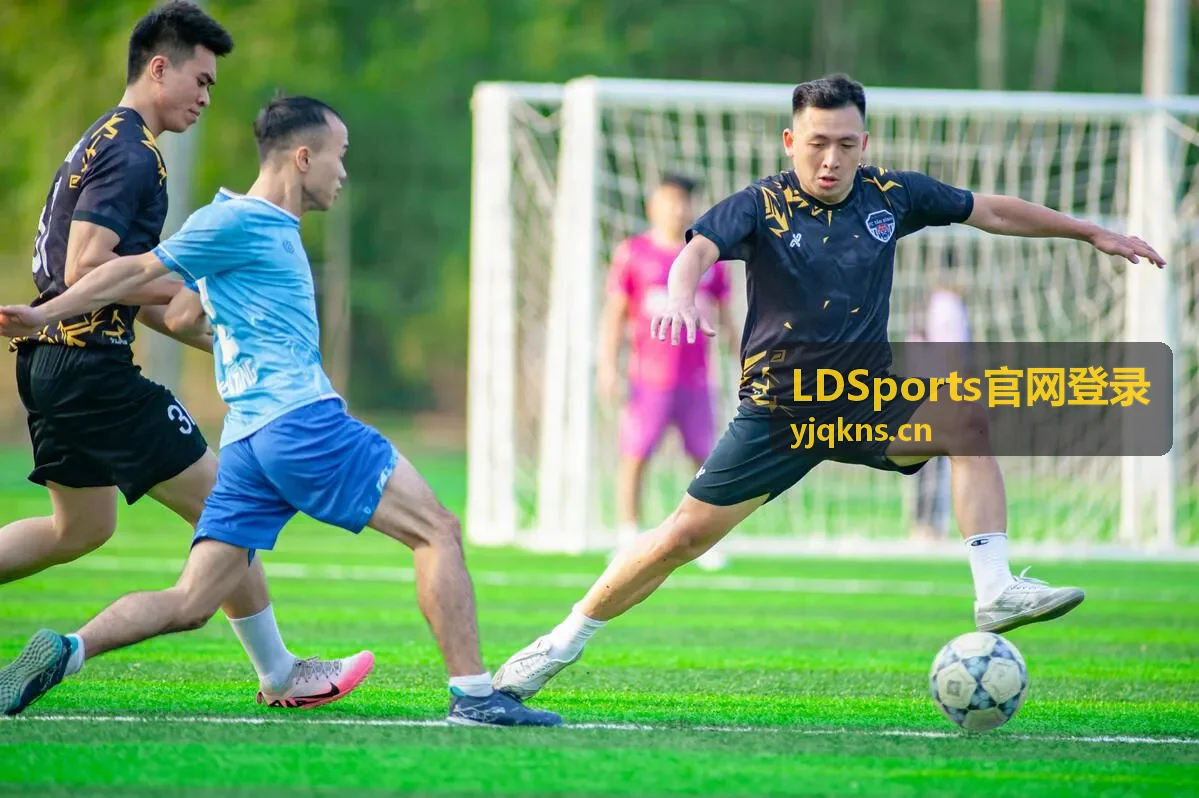 LDSports官网登录入口页面展示